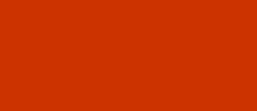 What is search engne?